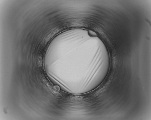 X0000102800833200809081110