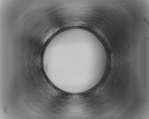 X0000102800834200809081110