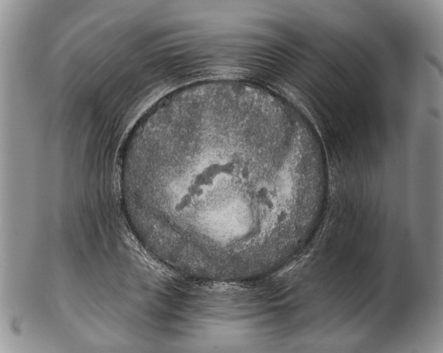 X0000102800835200809081110