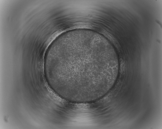 X0000102800836200809081110