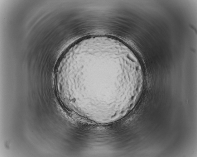 X0000102800839200809081110