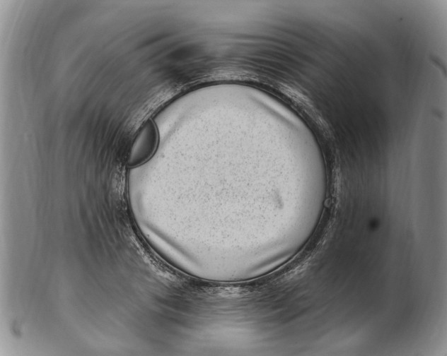 X0000102800841200809081110