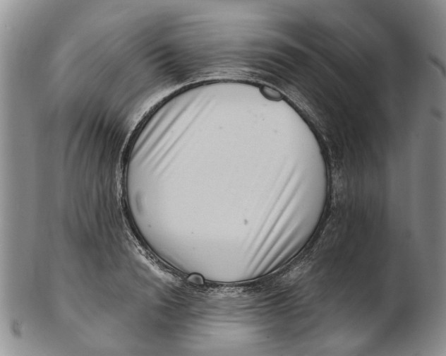 X0000102800846200809081110