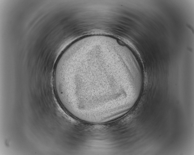 X0000102800847200809081110