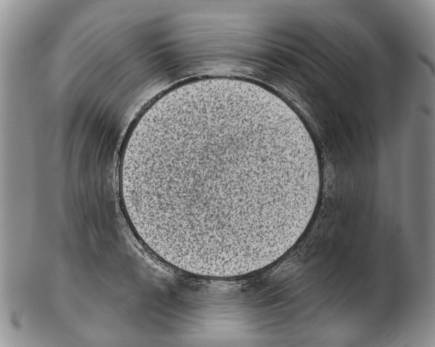 X0000102800848200809081110