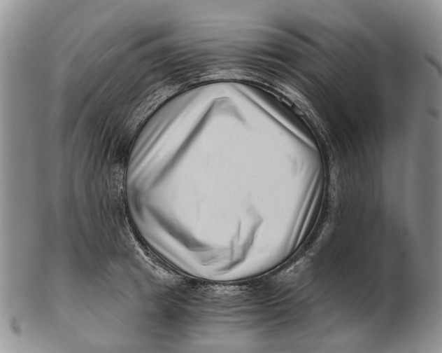 X0000102800849200809081110