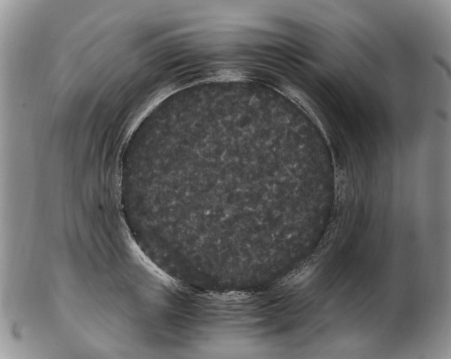 X0000102800851200809081110