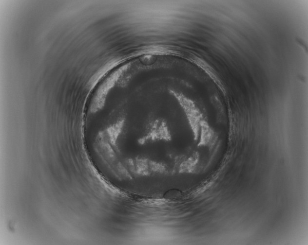 X0000102800853200809081110