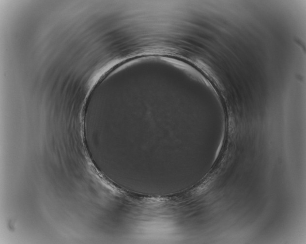 X0000102800854200809081110