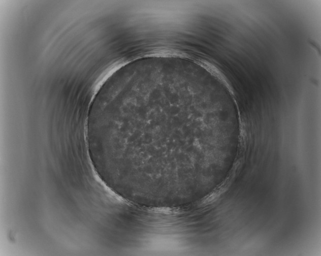 X0000102800855200809081110