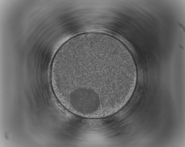 X0000102800856200809081110