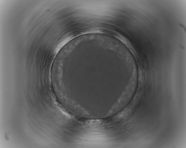 X0000102800858200809081110