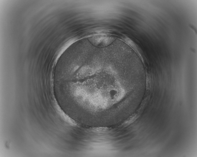 X0000102800859200809081110