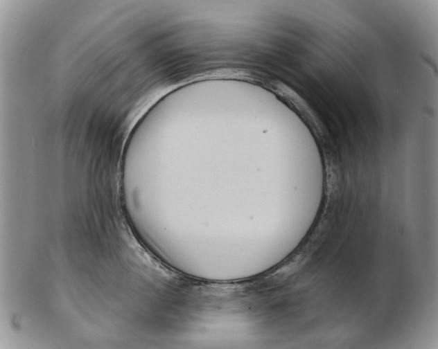 X0000102800860200809081110