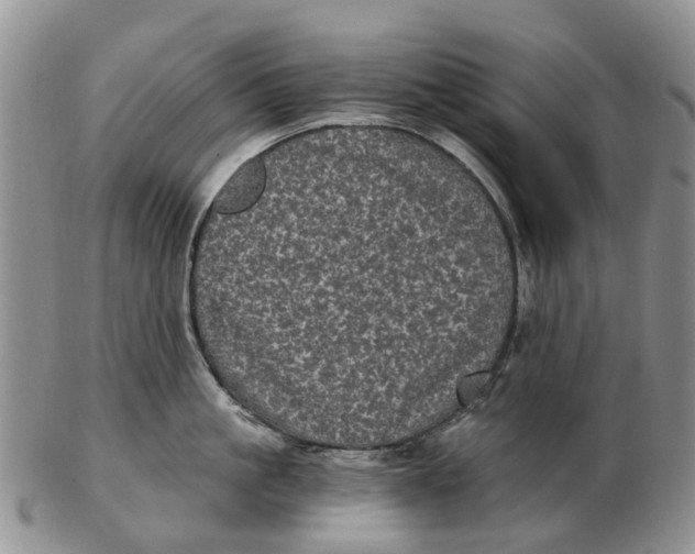 X0000102800861200809081110