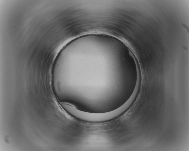 X0000102800862200809081110