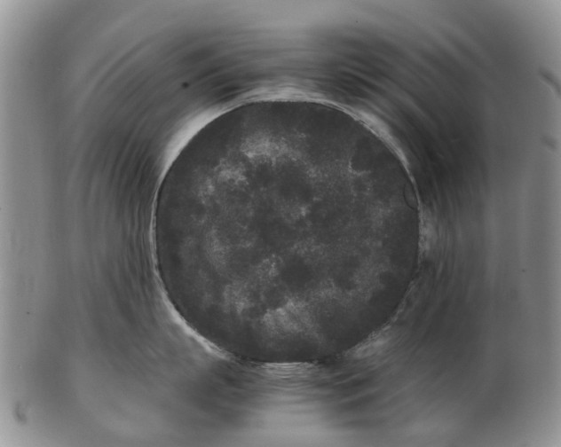 X0000102800863200809081110