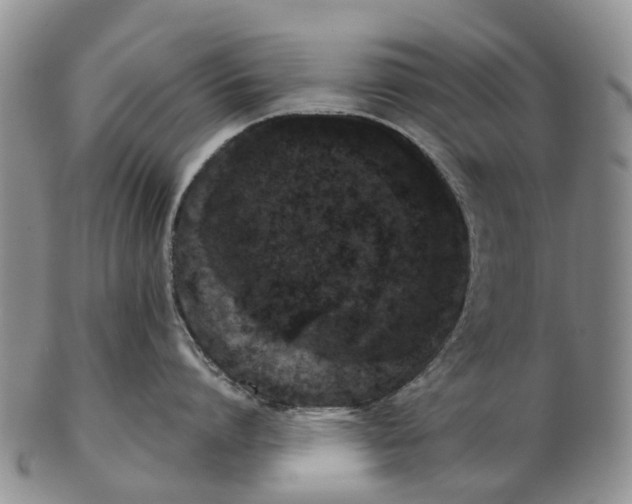 X0000102800864200809081110