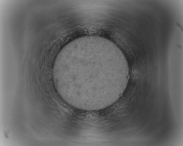 X0000102800865200809081110