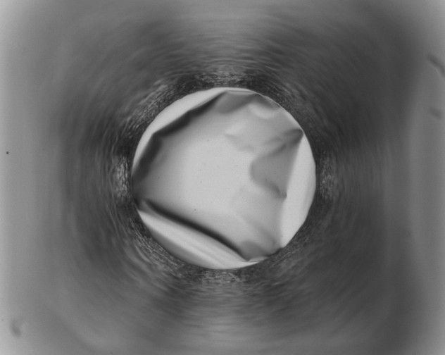 X0000102800866200809081110