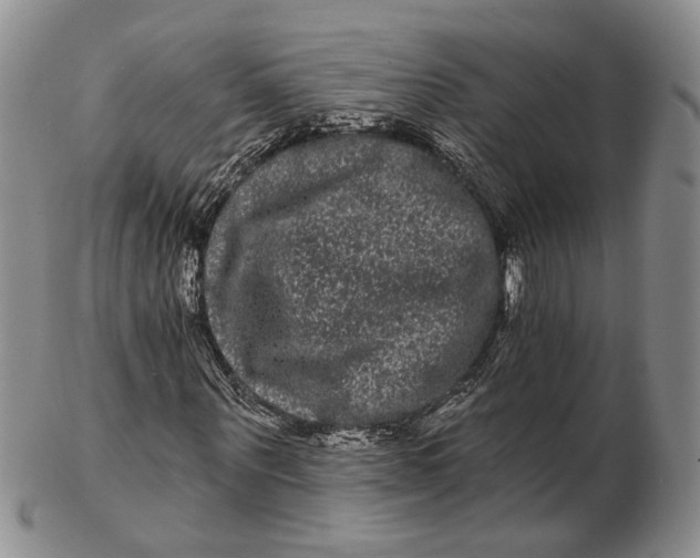 X0000102800867200809081110