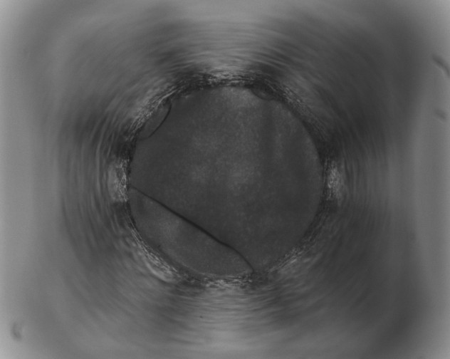 X0000102800868200809081110