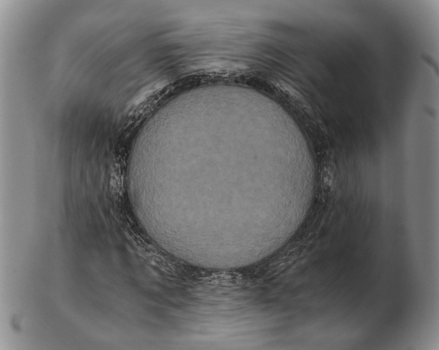 X0000102800869200809081110