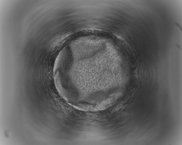 X0000102800870200809081110