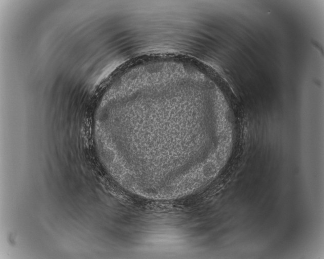 X0000102800871200809081110