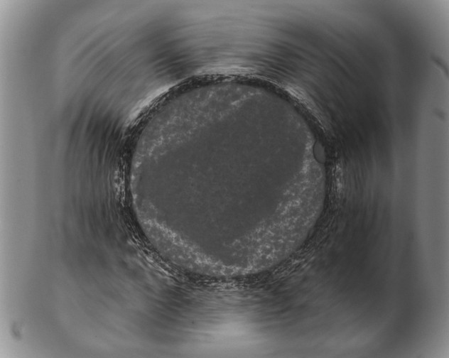 X0000102800872200809081110