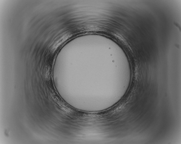 X0000102800873200809081110