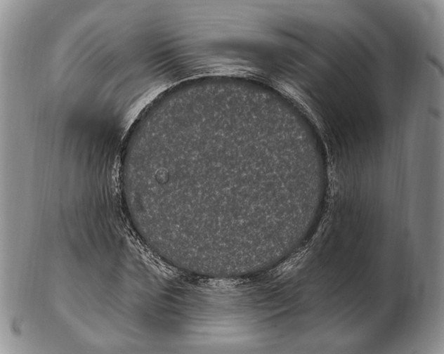 X0000102800875200809081110