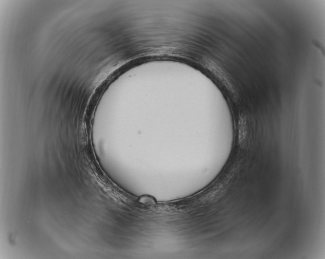 X0000102800876200809081110