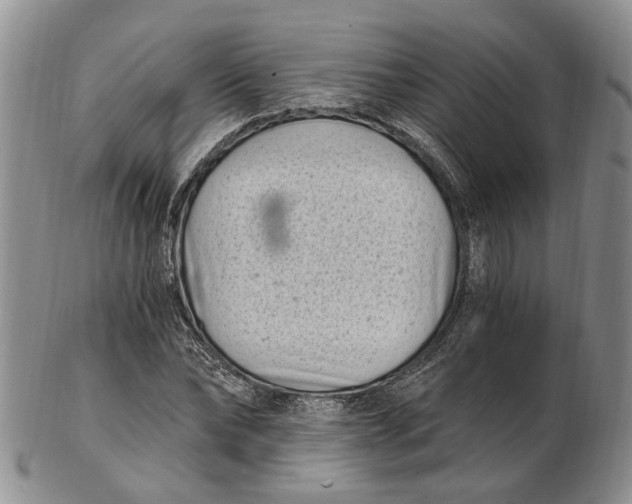 X0000102800878200809081110