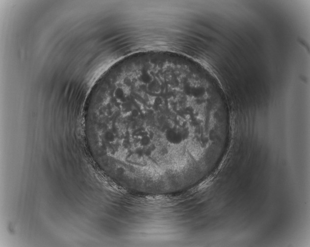 X0000102800879200809081110