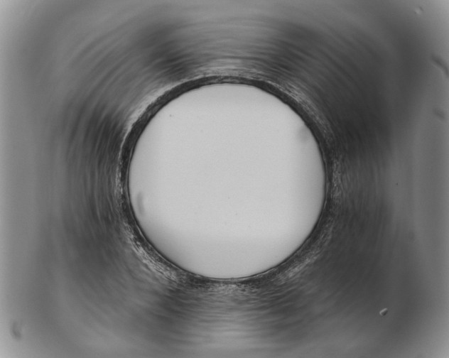 X0000102800880200809081110