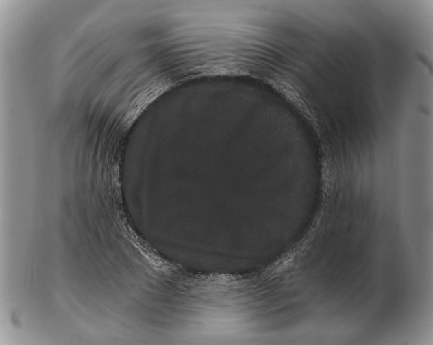 X0000102800881200809081110