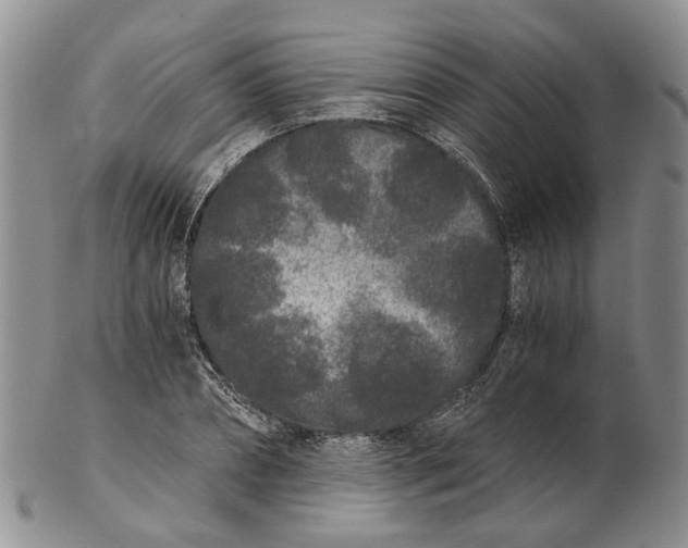 X0000102800882200809081110