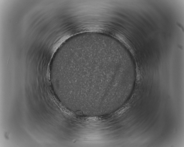 X0000102800883200809081110