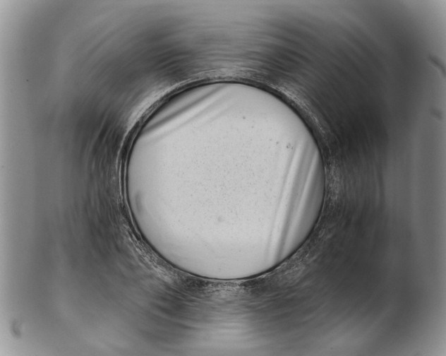 X0000102800886200809081109