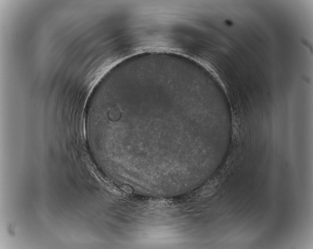 X0000102800887200809081109