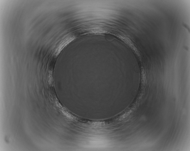 X0000102800889200809081109