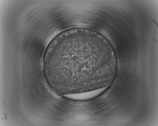 X0000102800891200809081109