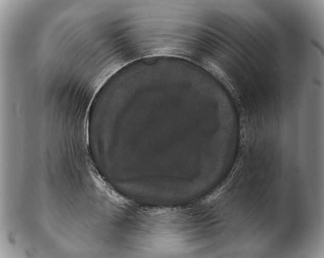 X0000102800892200809081109