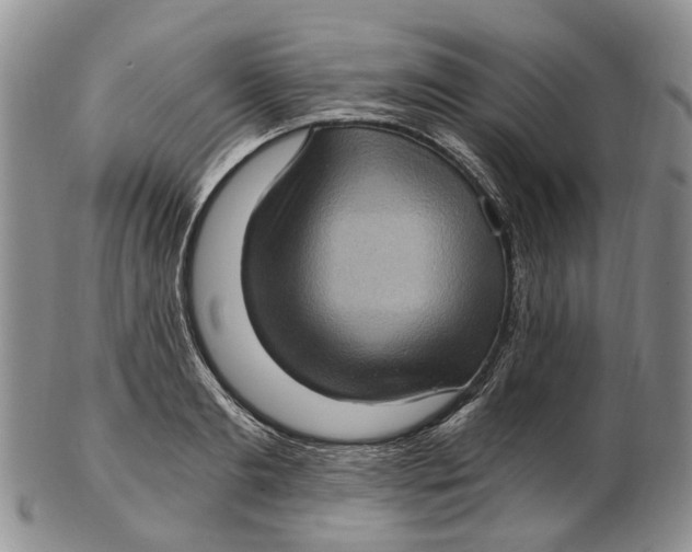 X0000102800893200809081109