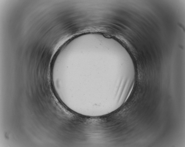 X0000102800894200809081109