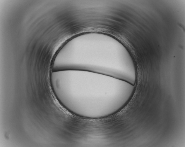 X0000102800896200809081109