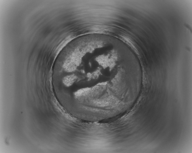 X0000102800899200809081109