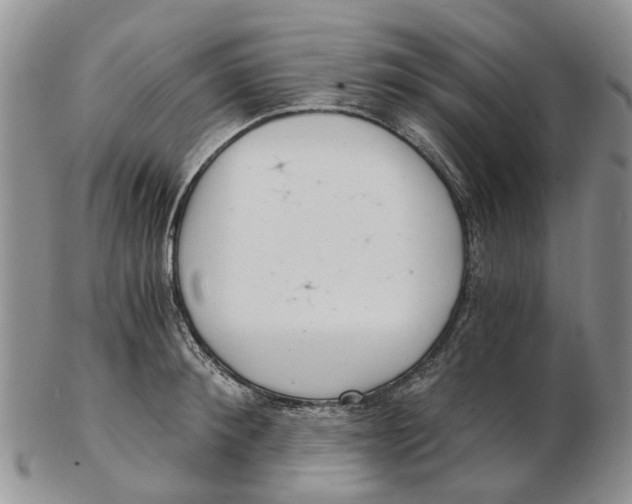 X0000102800900200809081109