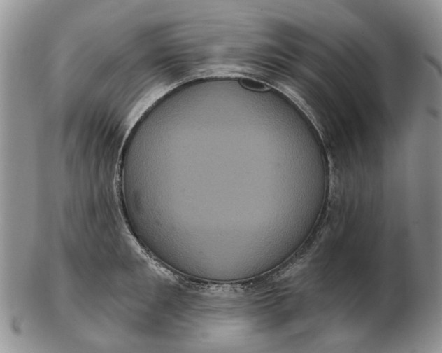 X0000102800901200809081109